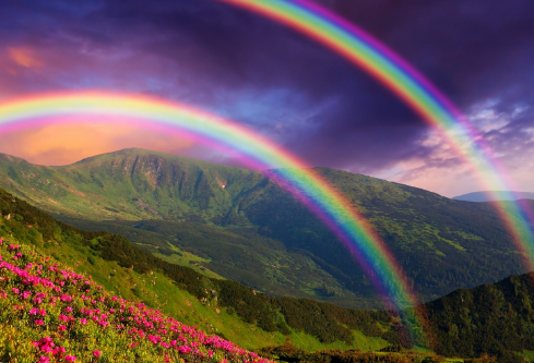 1691464903959420.png image.png