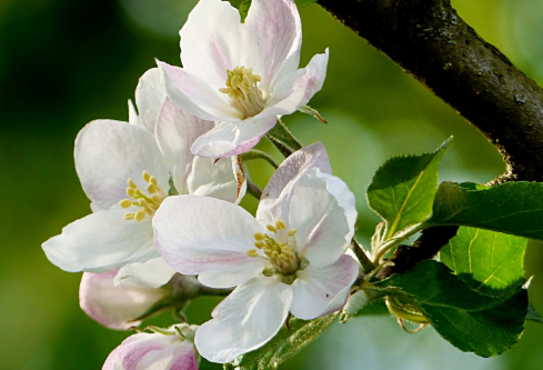 1691465069215690.png image.png