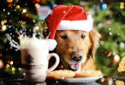 ​高中作文优秀范文