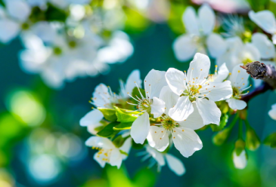 ​餐桌上的故事作文范文