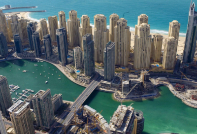 ​写小动物的作文范文