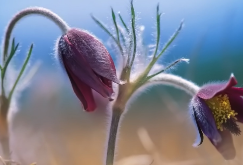 1691468386327292.png image.png