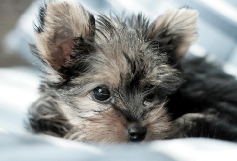 1691469381931771.png image.png