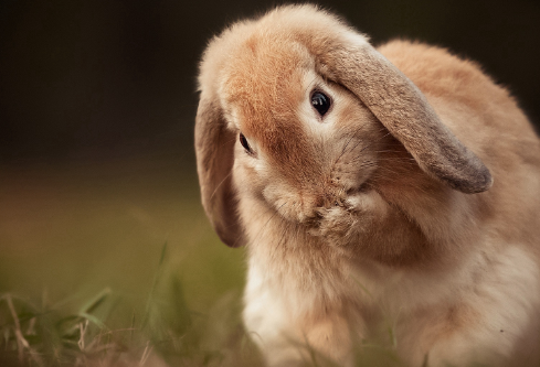 1691470045239603.png image.png