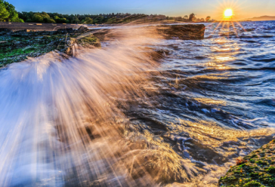 ​失败的教训作文范文