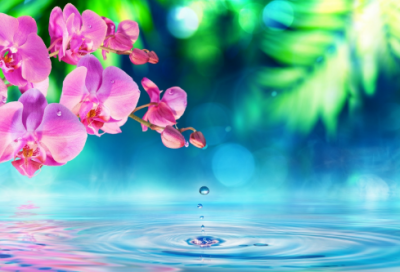 ​写家人的作文范文