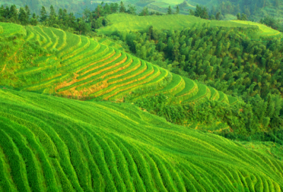 ​初中优秀英语作文范文大全