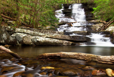 ​人教版二年级语文下册教学计划