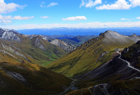 1691475190388592.png image.png