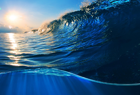 1691477181556407.png image.png