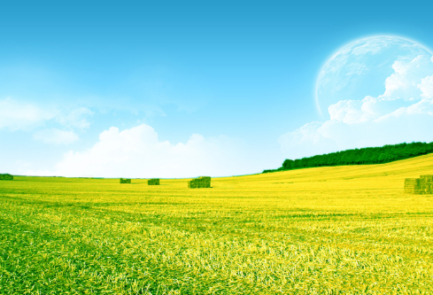 1691477347336825.png image.png