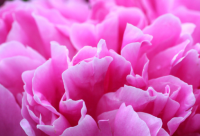 ​以“小事不小”为话题作文指导及范文