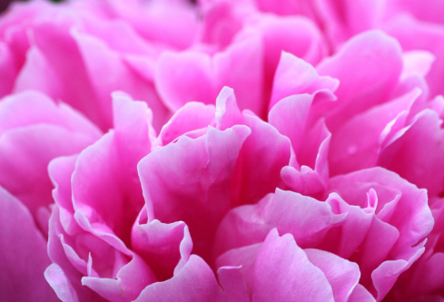 1691478508869664.png image.png