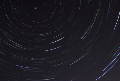 ​高中第五册三单元作文范文：藏羚魂