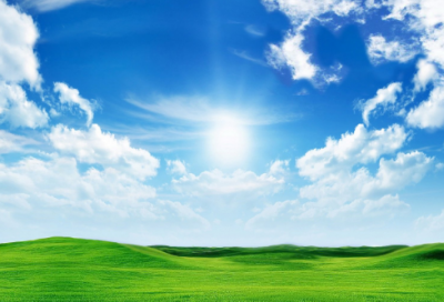 ​第一次做蛋炒饭作文