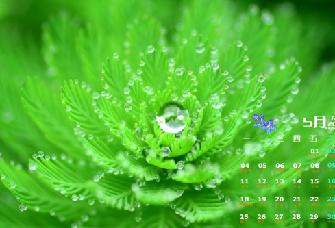 1691945999401412.png image.png