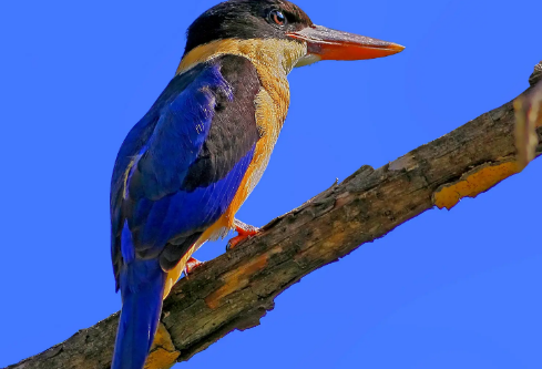 1691946828701142.png image.png