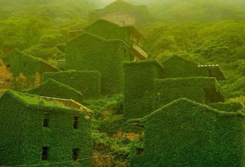 1691947161237565.png image.png