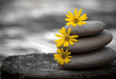 1691948156756598.png image.png