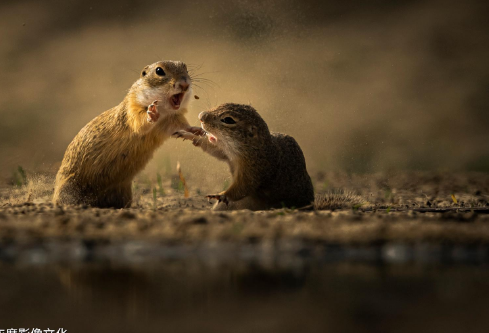 1691948654806529.png image.png