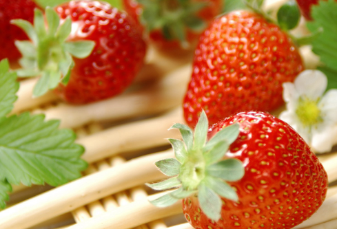 1691951311965240.png image.png