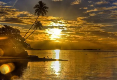 ​红花绿叶作文