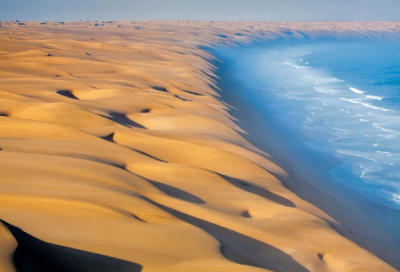 ​描写含羞草的作文