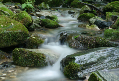 ​成长的故事作文