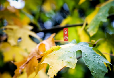 ​谈谈个人修养作文