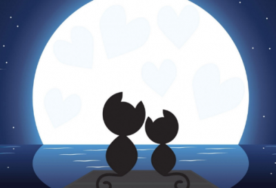 ​远山的呼唤作文