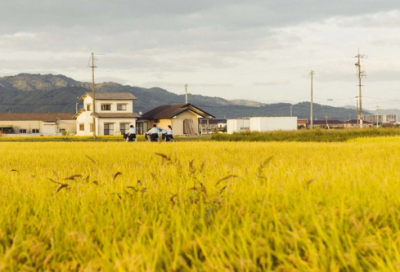 ​开始与结束作文