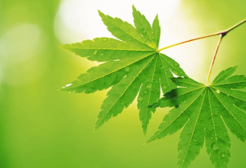 1691966600978045.png image.png