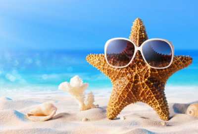 ​小学生读书笔记怎么写