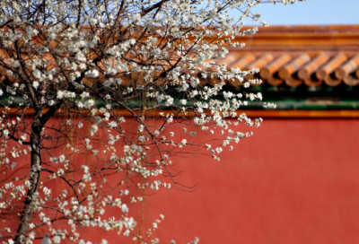 ​描写事的作文