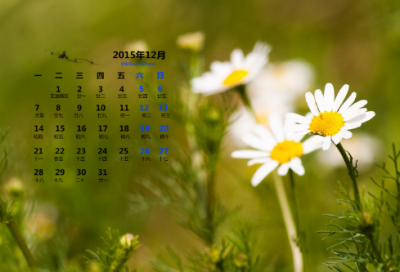 ​我们不哭作文