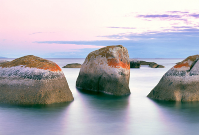 ​须鲸的自述作文