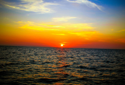 ​缅怀袁隆平作文