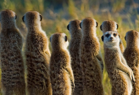 1692006948465788.png image.png