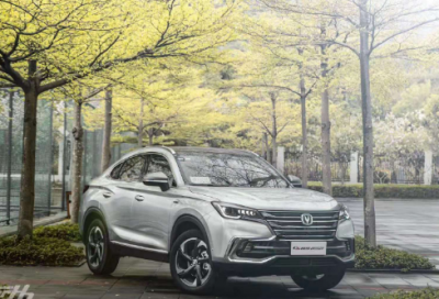 ​家有母老虎作文