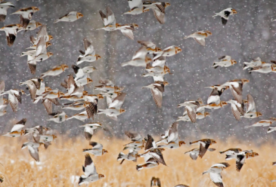 ​五一作文400字