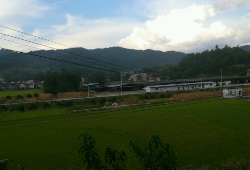 1692036353716393.png image.png