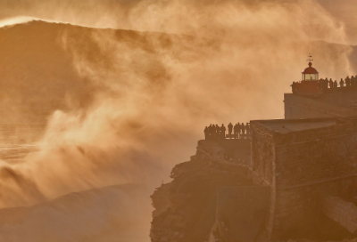 ​我爱吃西红柿作文