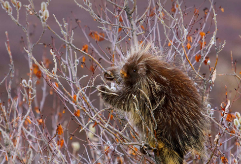 1692037183739227.png image.png