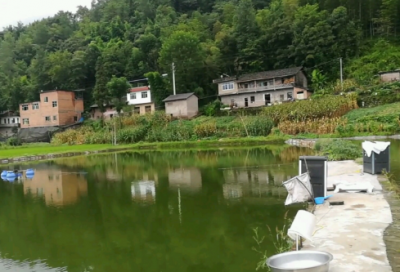 ​米开朗基罗传作文