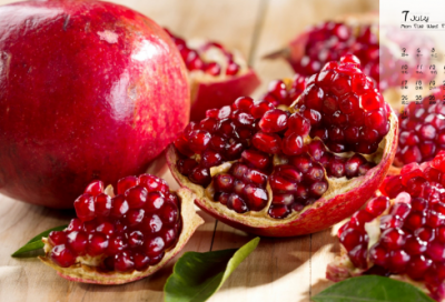 ​拉姆日记作文