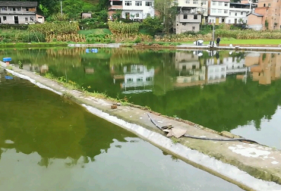 ​银行行长竞聘报告