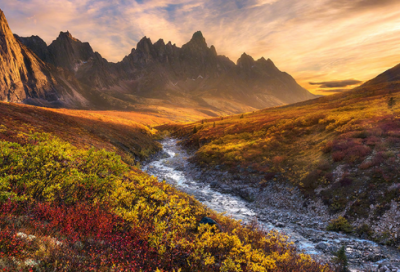 ​用在造句,用用在怎么造句