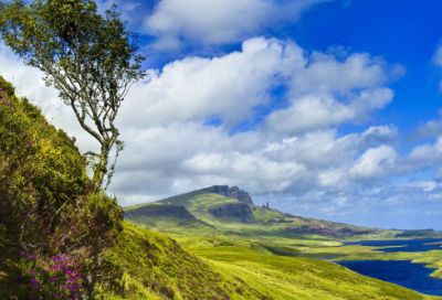 ​定时造句,用定时怎么造句