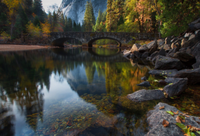 ​围观造句,用围观怎么造句