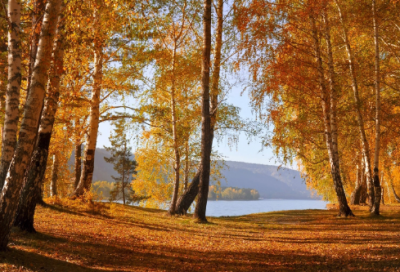 ​光头造句,用光头怎么造句